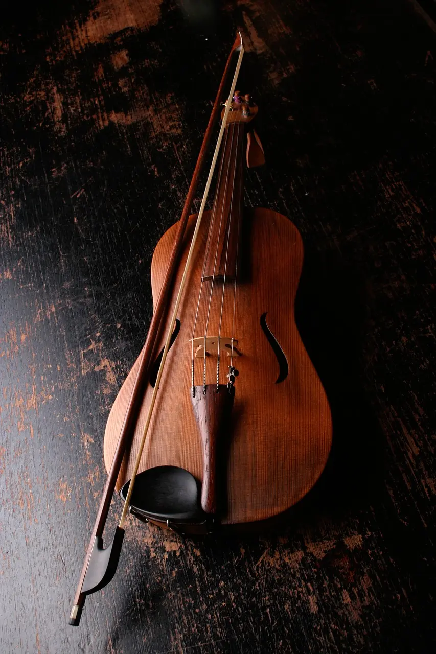 Aufbau Violine