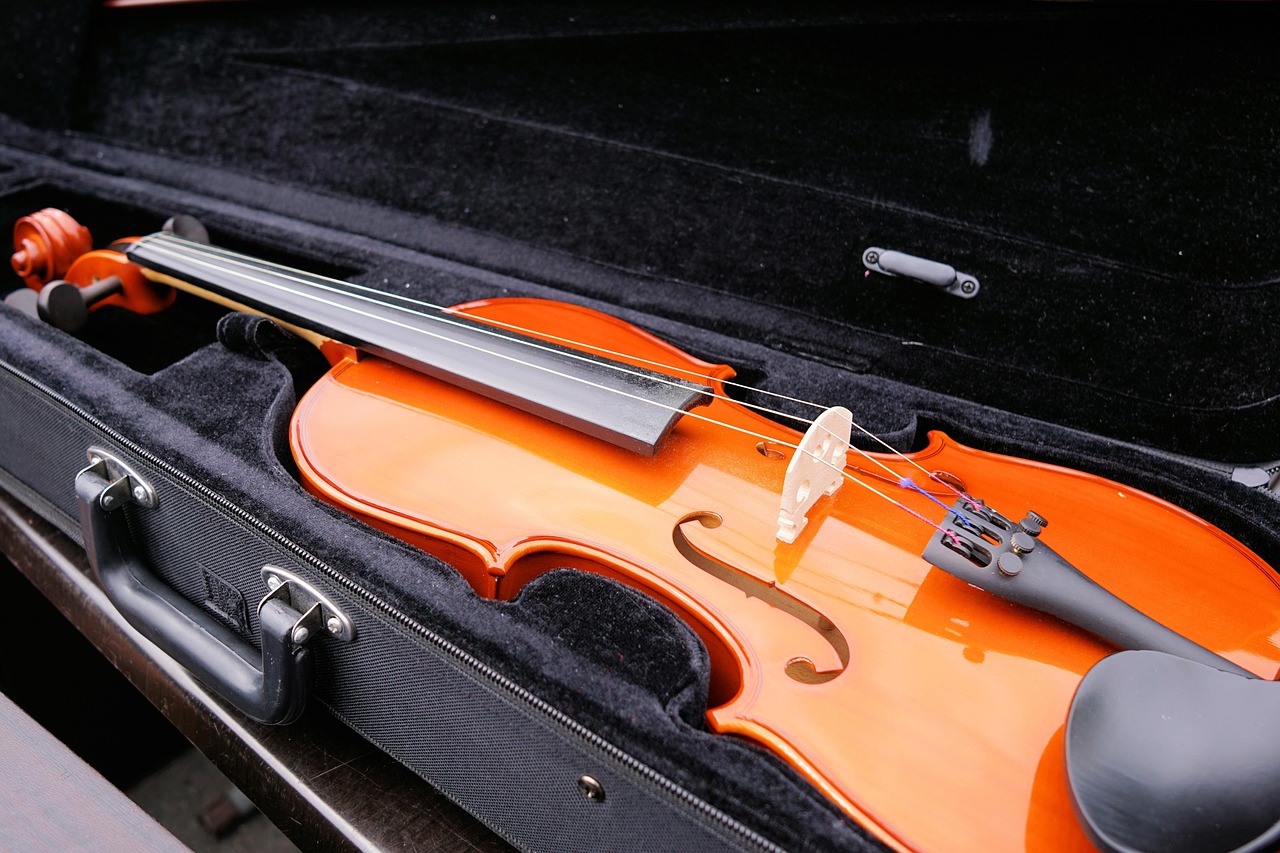 Geige und Violine Unterschiede