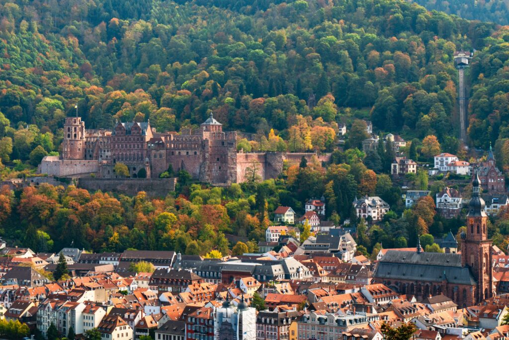 Geigenbauer Heidelberg