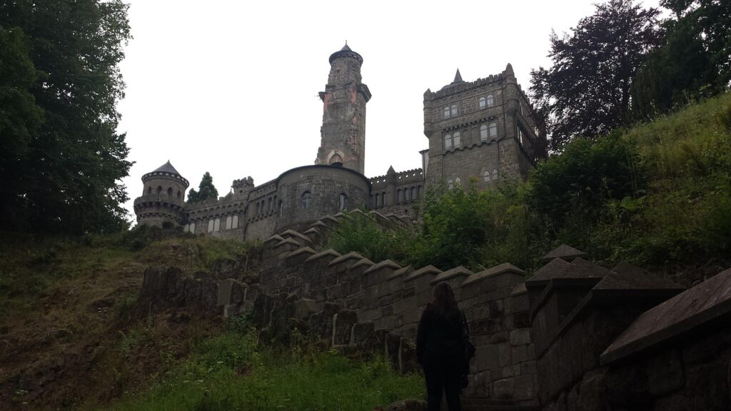 Geigenbauer Nähe Hessen