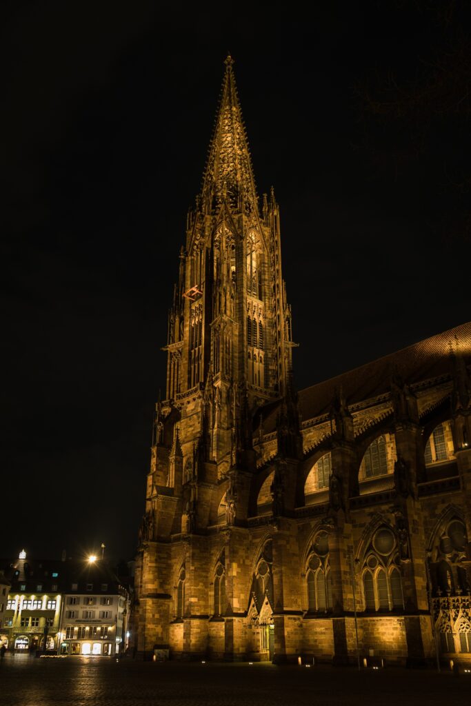Geigenbauer nähe Freiburg