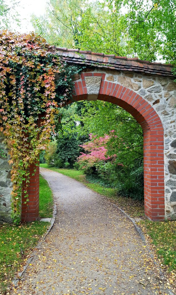 Geigenbauer nähe Görlitz