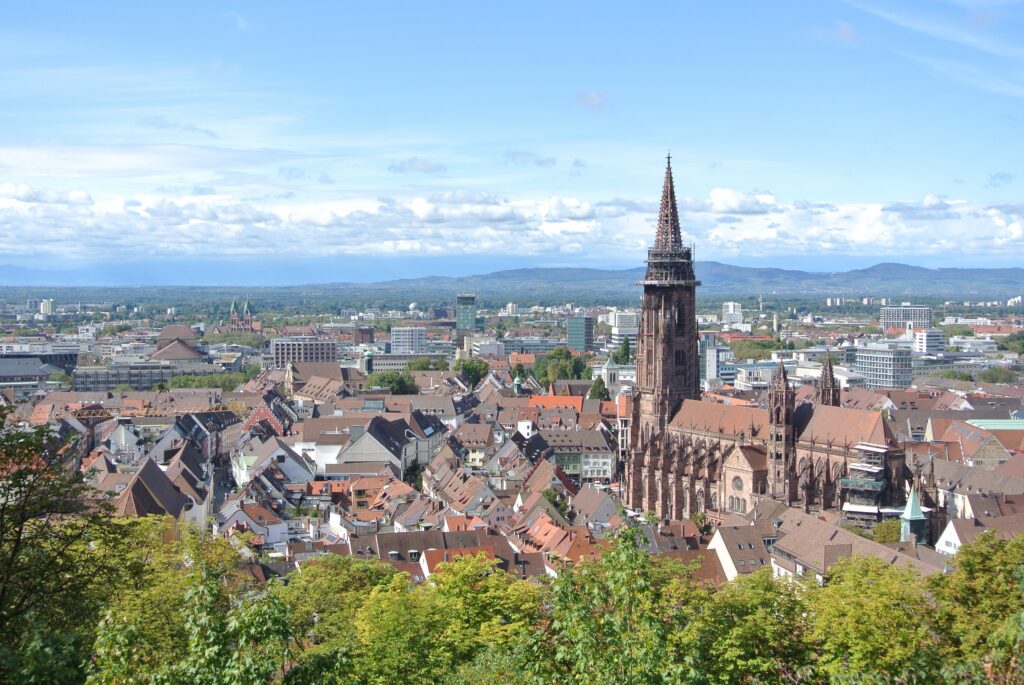 Geigenbaumeister Freiburg