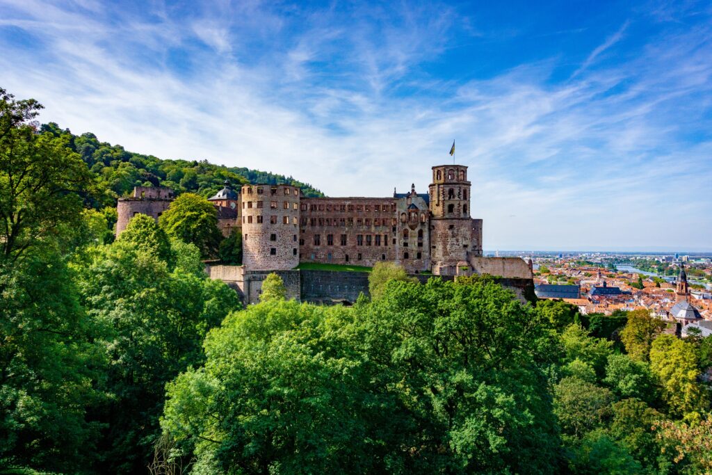 Geigenbaumeister Heidelberg