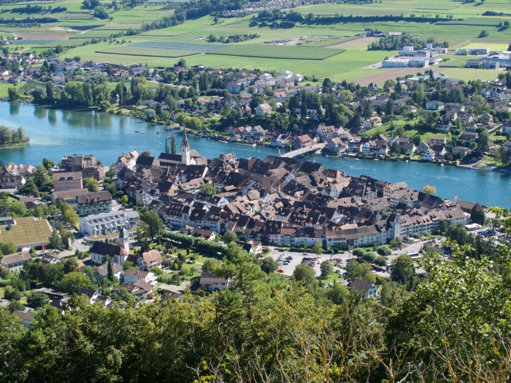 Geigenbaumeister Rhein Main