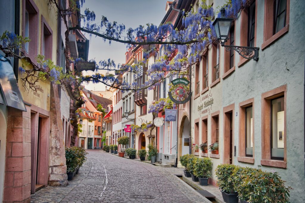 Geigenbaumeister nähe Freiburg