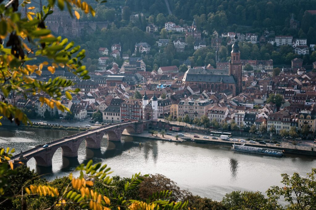 Geigenbaumeister nähe Heidelberg