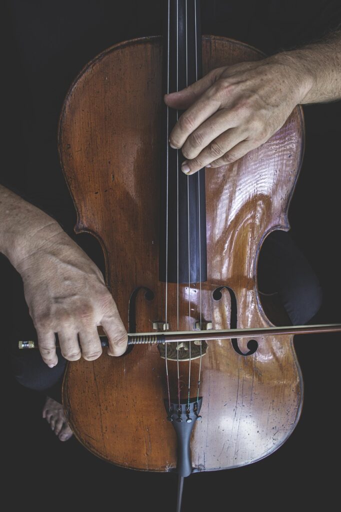 Passendes Cello finden