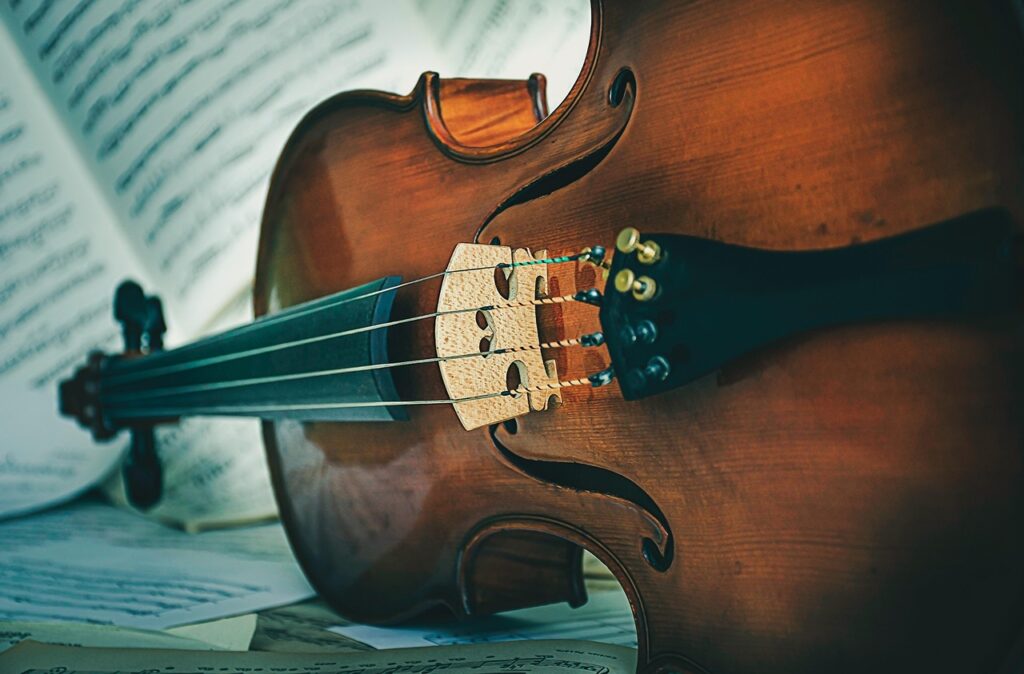 Unterschiede zwischen Geigenbogen und Cellobogen